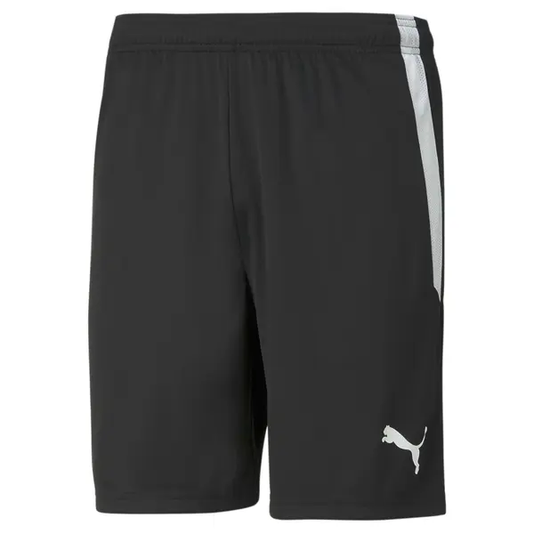 PUMA PUMA Športne hlače 'TeamLiga'  svetlo siva / črna / bela