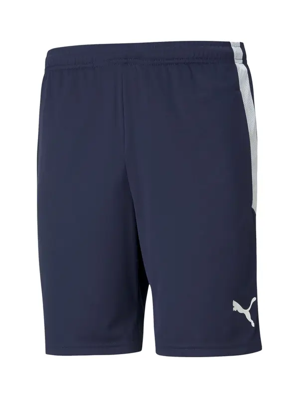 PUMA PUMA Športne hlače 'TeamLiga'  temno modra / bela