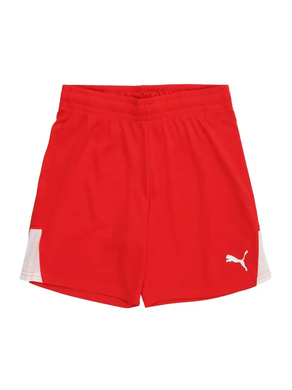 PUMA PUMA Športne hlače 'TeamLIGA26'  rdeča / bela