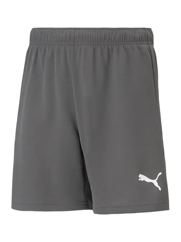 PUMA PUMA Športne hlače 'TeamRise'  siva / bela