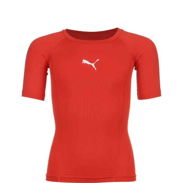 PUMA PUMA Športno spodnje perilo  rdeča / srebrna