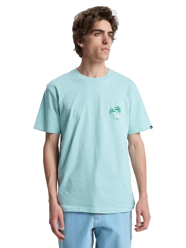 QUIKSILVER QUIKSILVER Funkcionalna majica 'Evo Learning From Nature'  zelena / meta / svetlo zelena
