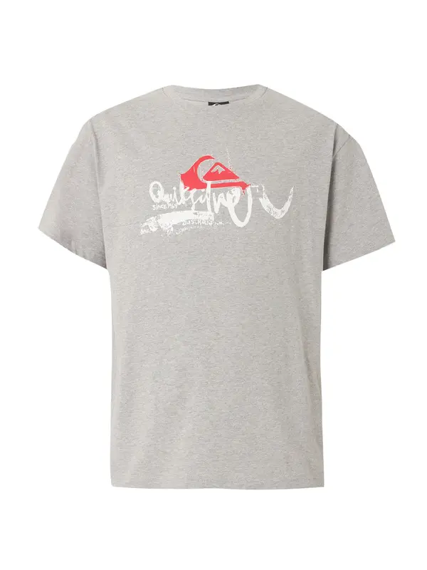 QUIKSILVER QUIKSILVER Funkcionalna majica 'YG DRIFTER'  siva / rdeča / bela