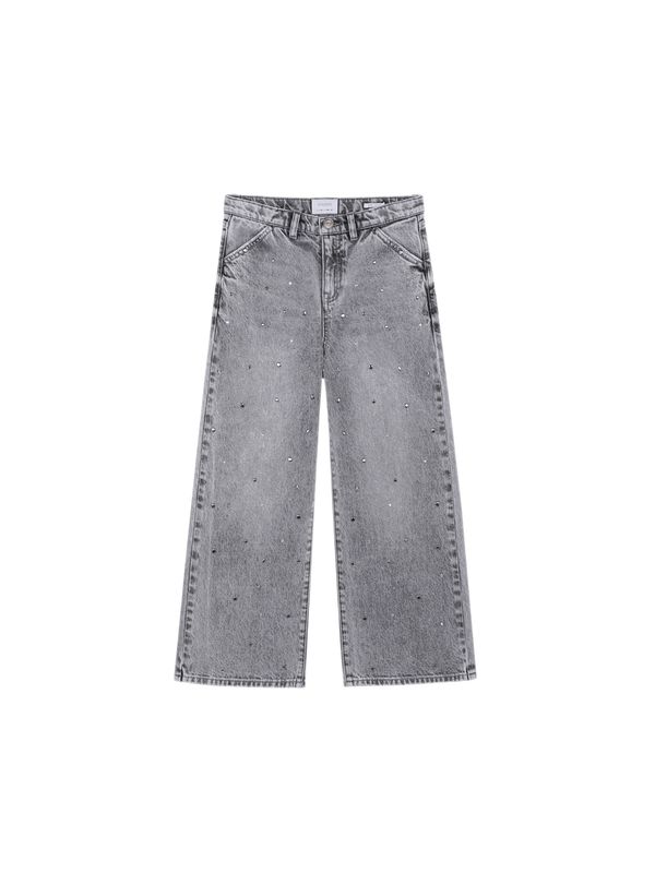 Scalpers Scalpers Kavbojke 'Studs'  siv denim
