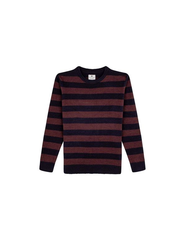 Scalpers Scalpers Pulover 'Newport'  mornarska / rjava