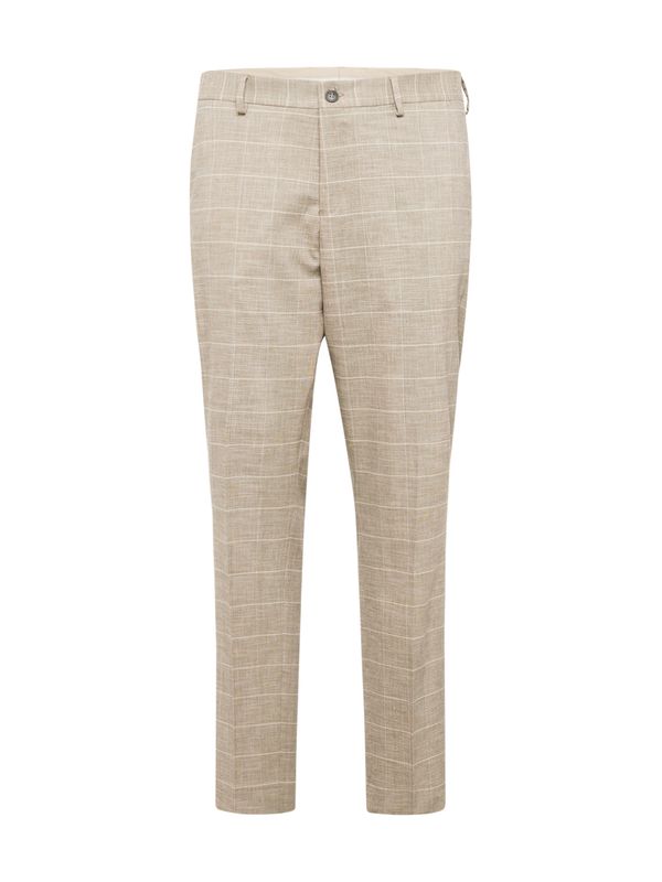 SELECTED HOMME SELECTED HOMME Chino hlače 'OASIS'  slonovina / progasto bež