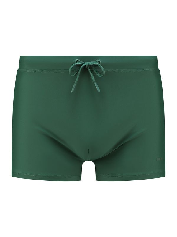 Shiwi Shiwi Kopalne hlače  zelena