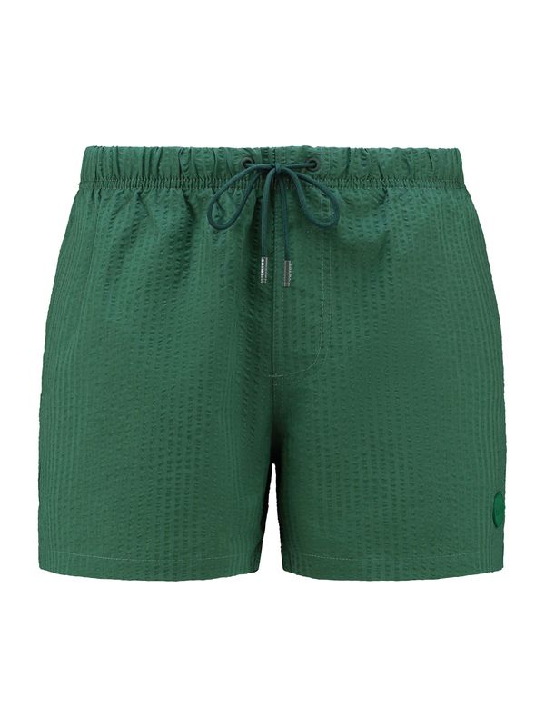 Shiwi Shiwi Kratke kopalne hlače  temno zelena