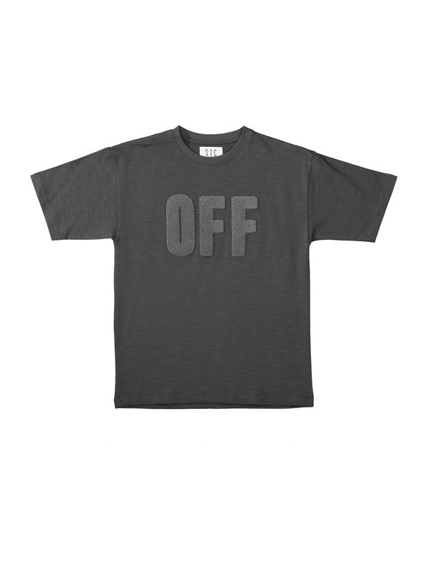 STACCATO STACCATO Majica  kamen / pegasto siva