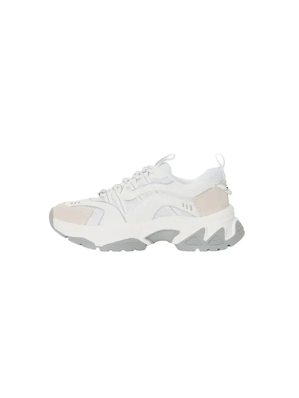 STEVE MADDEN STEVE MADDEN Nizke superge 'Animates-E'  ecru / siva / bela