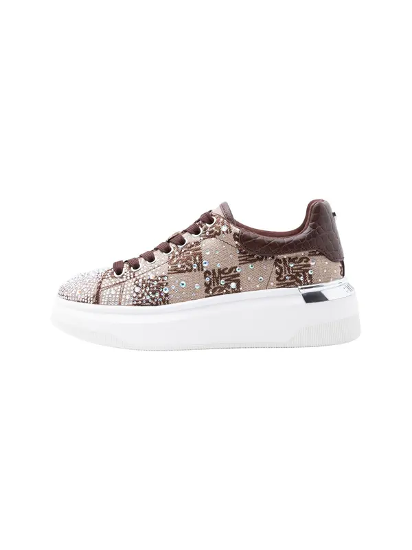 STEVE MADDEN STEVE MADDEN Nizke superge  kapučino / svetlo rjava