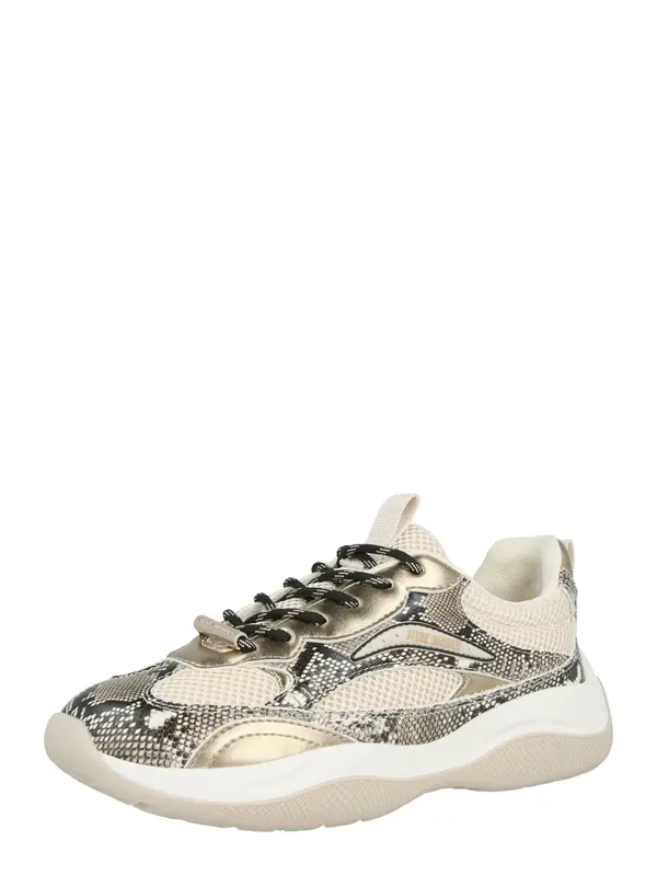 STEVE MADDEN STEVE MADDEN Nizke superge 'Premio'  kapučino / črna