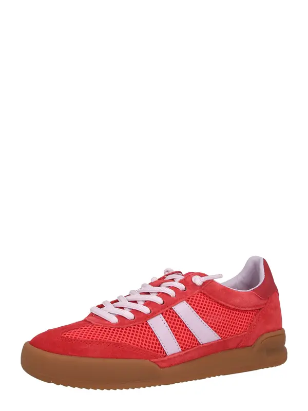 STEVE MADDEN STEVE MADDEN Nizke superge 'Verdict'  majnica / rdeča