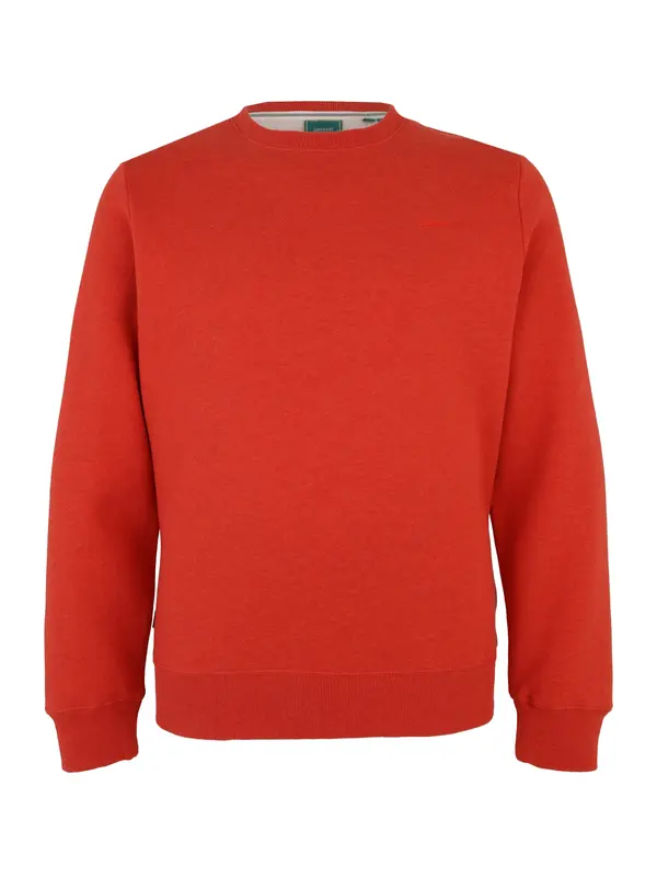 Superdry & Co Superdry & Co Majica  jastog
