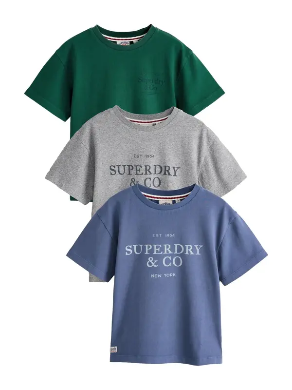 Superdry & Co Superdry & Co Majica  modra / siva / temno zelena