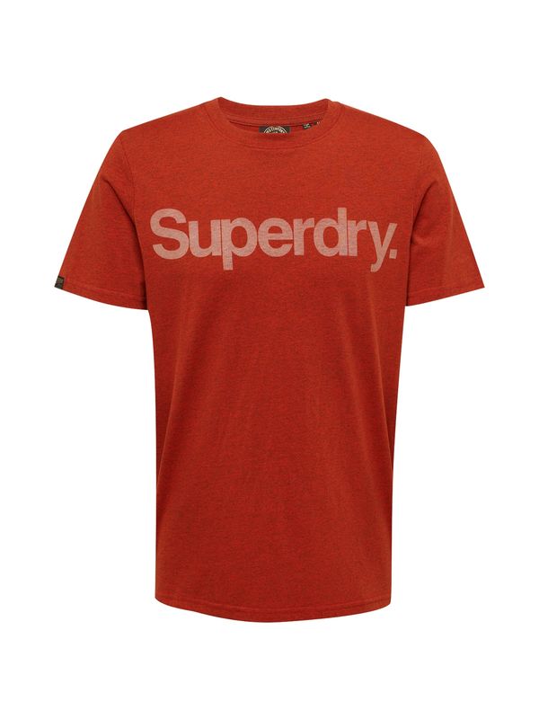 Superdry Superdry Majica 'CLASSIC'  pastelno zelena / večbarvno oranžna