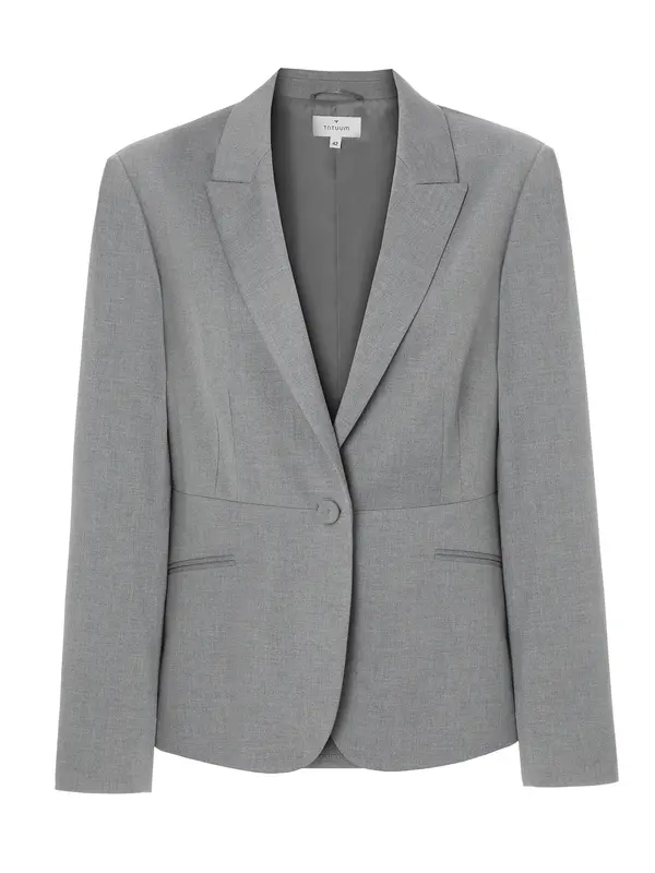 TATUUM TATUUM Blazer 'NESSARIA 1'  pegasto siva