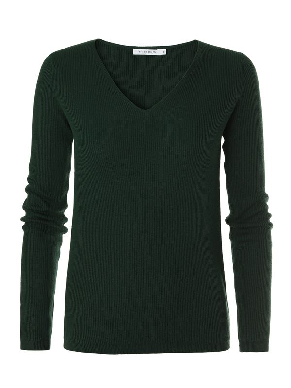 TATUUM TATUUM Pulover 'SPALKA'  temno zelena