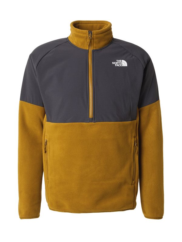 THE NORTH FACE THE NORTH FACE Funkcionalna jopa iz flisa 'GLACIER'  temno siva / oliva