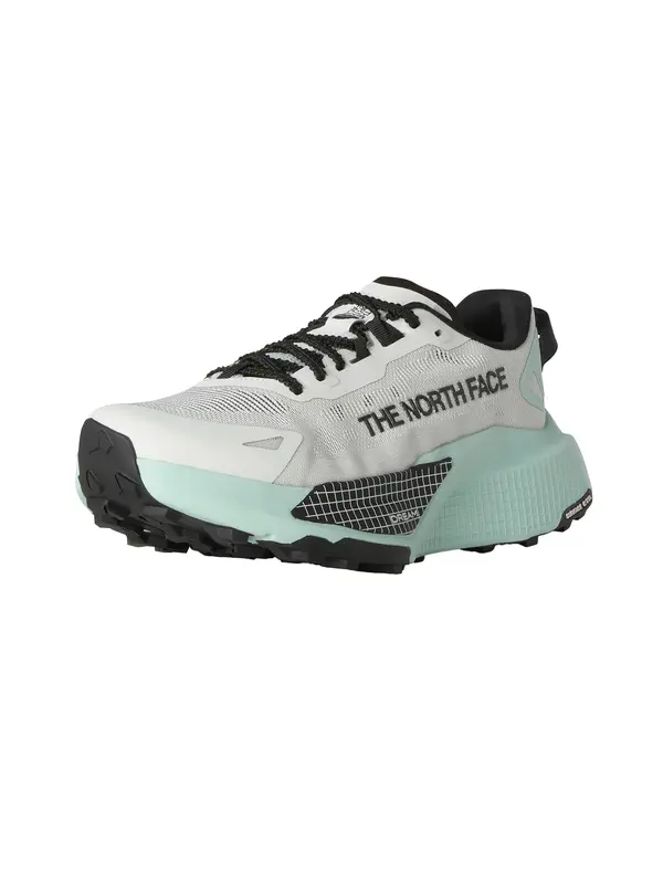 THE NORTH FACE THE NORTH FACE Nizke superge 'Altamesa'  meta / črna / bela