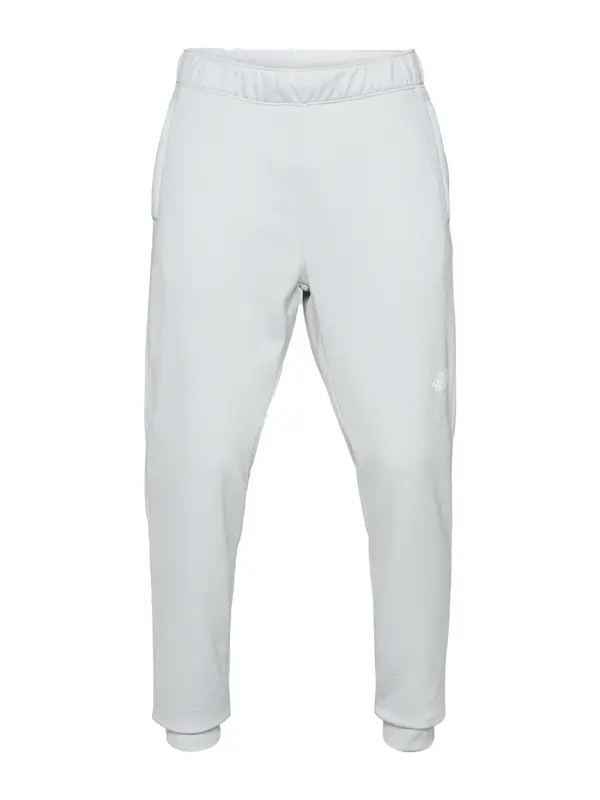 THE NORTH FACE THE NORTH FACE Outdoor hlače 'REAXION'  svetlo siva