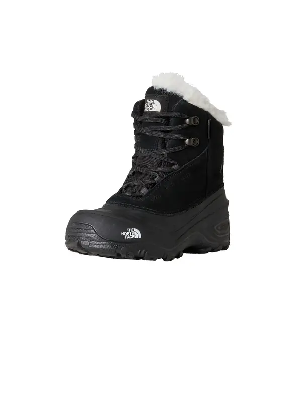 THE NORTH FACE THE NORTH FACE Škornji 'Shellista V'  črna