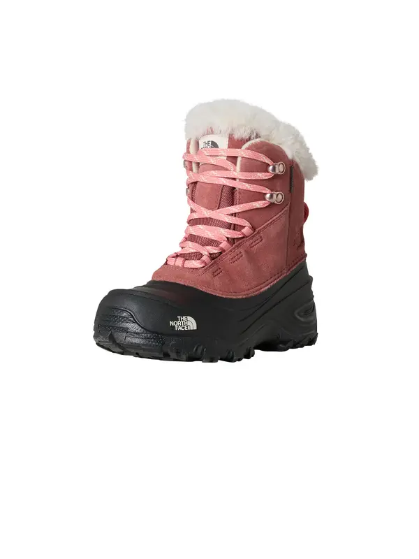 THE NORTH FACE THE NORTH FACE Škornji 'Youth Shellista'  roza / črna