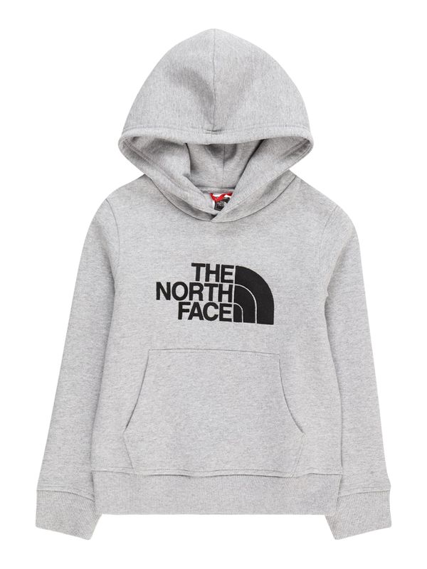 THE NORTH FACE THE NORTH FACE Športna majica 'DREW PEAK'  svetlo siva / pegasto siva / črna