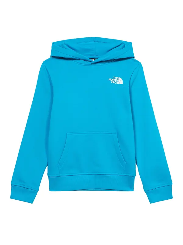 THE NORTH FACE THE NORTH FACE Športna majica 'REDBOX'  svetlo modra / temno modra / bela