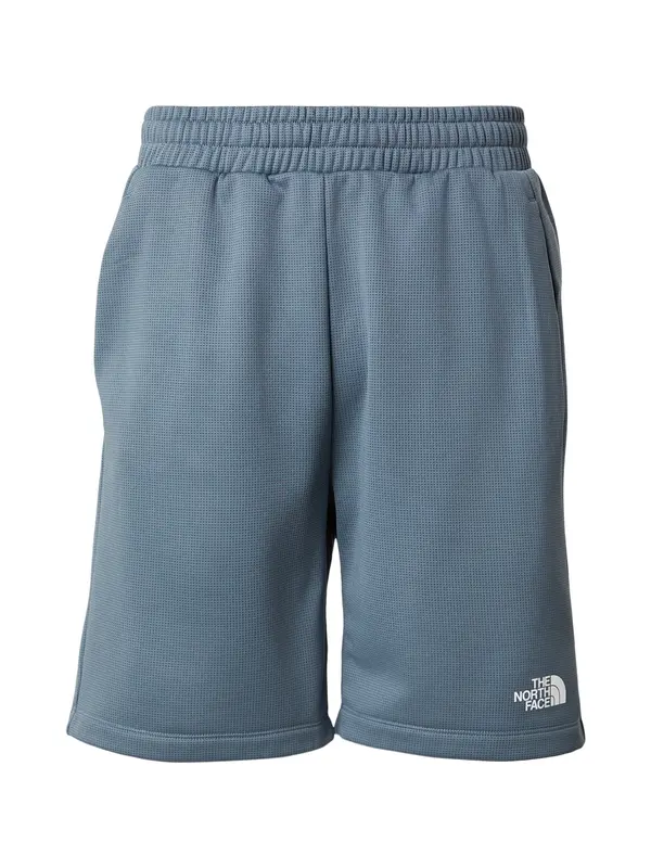 THE NORTH FACE THE NORTH FACE Športne hlače 'REAXION 2.0'  siva / bela