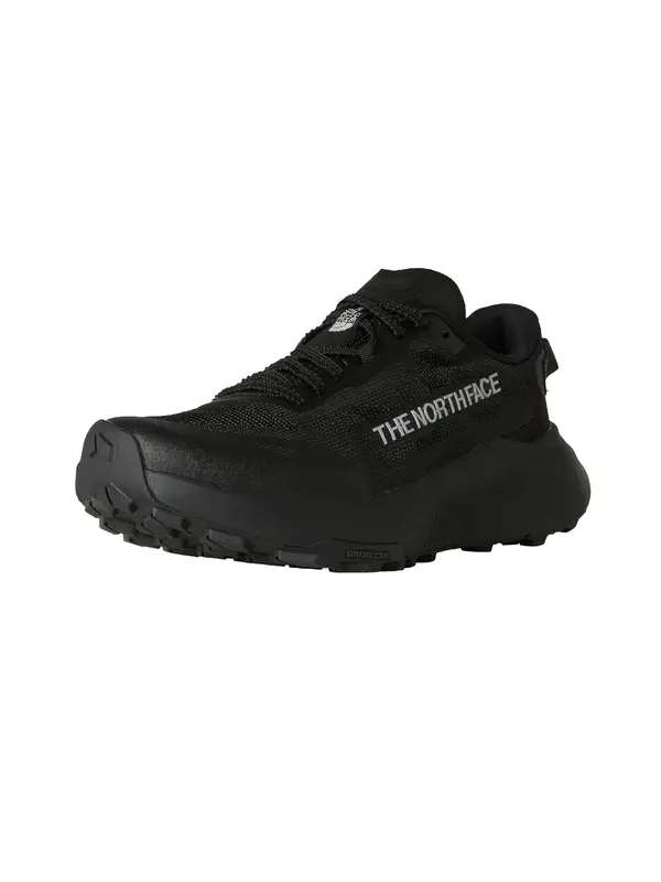 THE NORTH FACE THE NORTH FACE Tekaški čevelj 'W Altamesa 300 V2'  siva / črna
