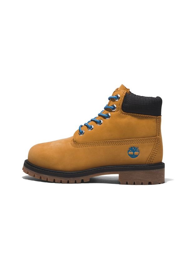 TIMBERLAND TIMBERLAND Nizki čevelj  modra / konjak / temno rjava