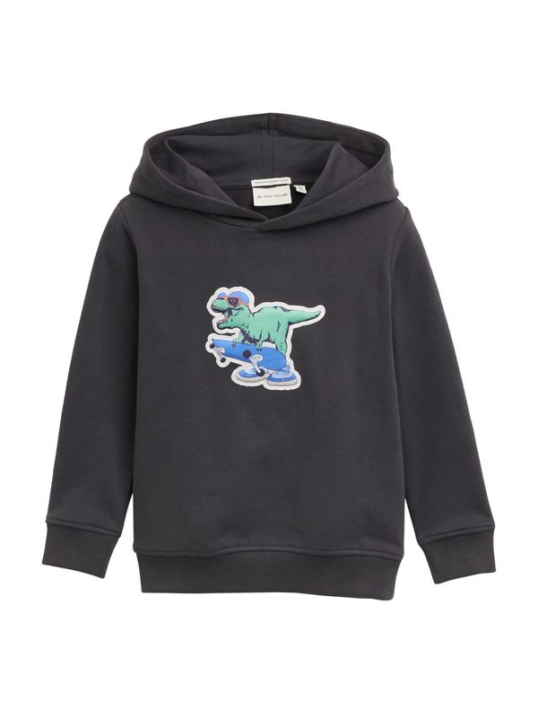 TOM TAILOR TOM TAILOR Majica  modra / antracit / meta