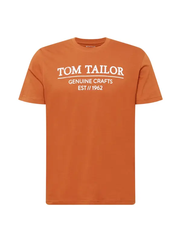 TOM TAILOR TOM TAILOR Majica  rjasto rjava / bela