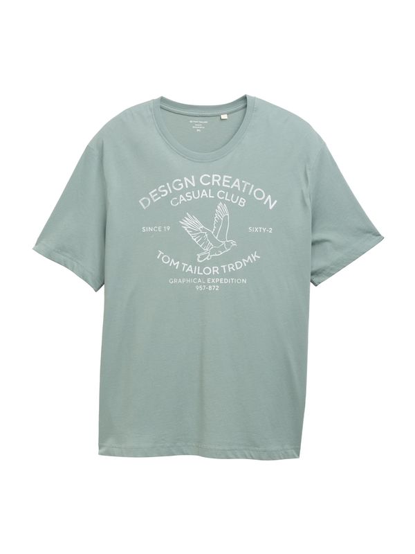 TOM TAILOR Men + TOM TAILOR Men + Majica  pastelno zelena / bela