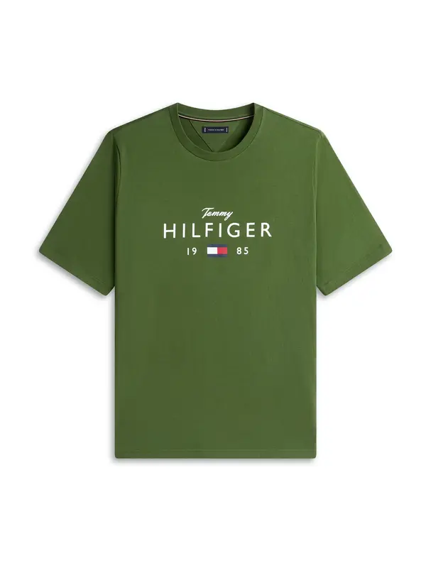 Tommy Hilfiger Big & Tall Tommy Hilfiger Big & Tall Majica  marine / zelena / rdeča / bela