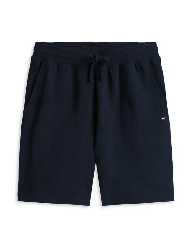 TOMMY HILFIGER TOMMY HILFIGER Hlače 'Flag Embroidery Sweat'  marine