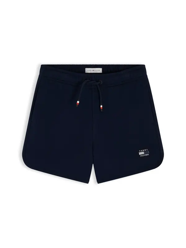 TOMMY HILFIGER TOMMY HILFIGER Hlače 'Tonal Flag Logo Sweat'  mornarska