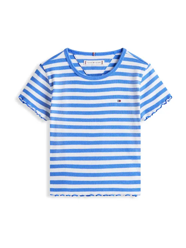 TOMMY HILFIGER TOMMY HILFIGER Majica 'ESSENTIAL'  modra / bela