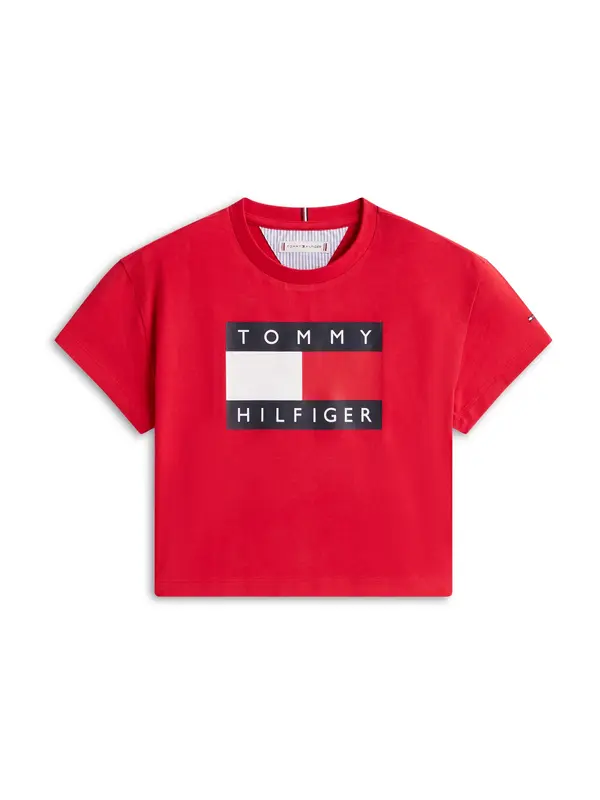 TOMMY HILFIGER TOMMY HILFIGER Majica 'HERITAGE'  marine / rdeča / bela
