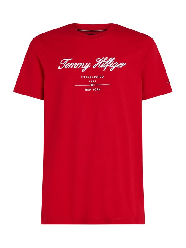 TOMMY HILFIGER TOMMY HILFIGER Majica  marine / krvavo rdeča / bela