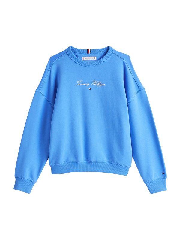 TOMMY HILFIGER TOMMY HILFIGER Majica  marine / svetlo modra / rdeča / bela