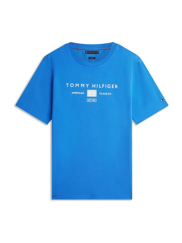 TOMMY HILFIGER TOMMY HILFIGER Majica  modra / bela