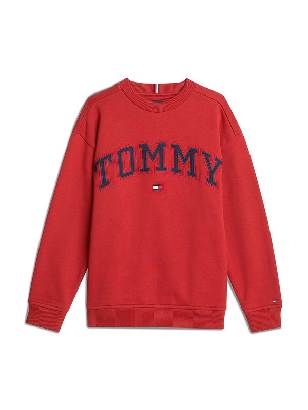 TOMMY HILFIGER TOMMY HILFIGER Majica  modra / rdeča / bela