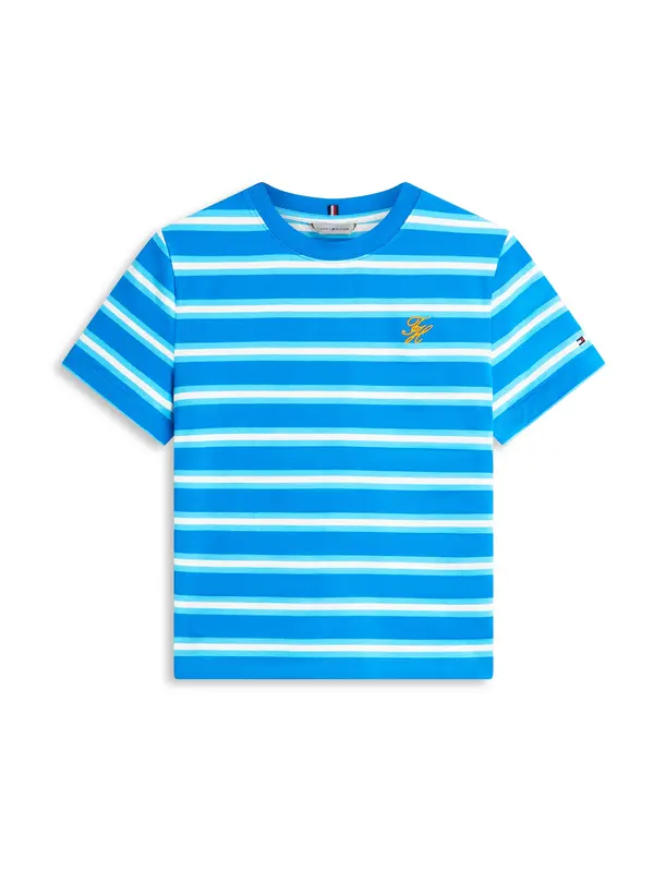 TOMMY HILFIGER TOMMY HILFIGER Majica  modra / svetlo modra / bela