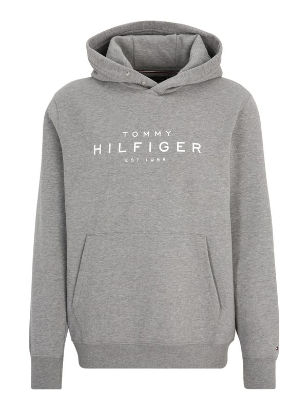 TOMMY HILFIGER TOMMY HILFIGER Majica  siva / bela