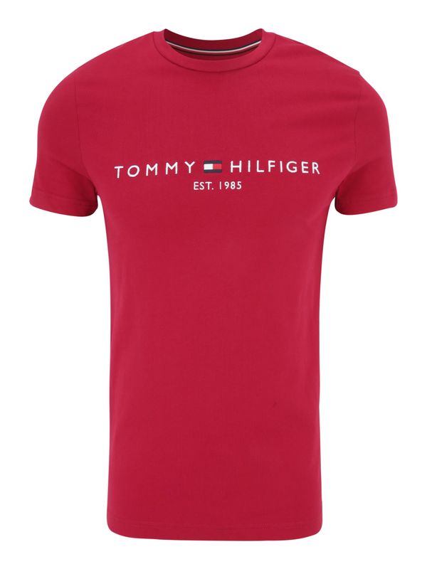 TOMMY HILFIGER TOMMY HILFIGER Majica  temno modra / rubin rdeča / bela