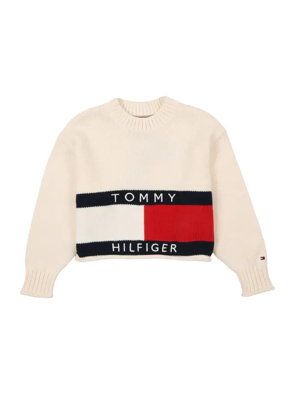 TOMMY HILFIGER TOMMY HILFIGER Pulover 'HERITAGE'  marine / rdeča / bela