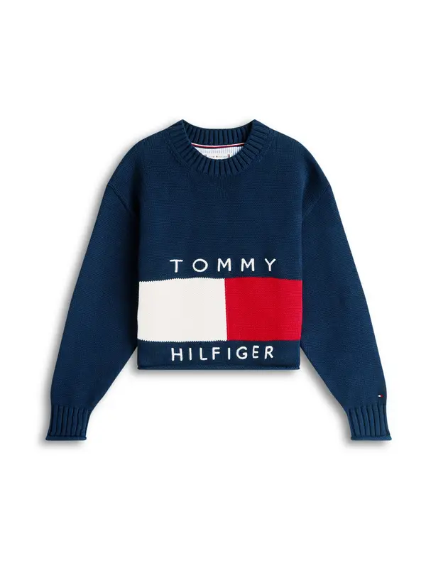 TOMMY HILFIGER TOMMY HILFIGER Pulover 'HERITAGE'  mornarska / rdeča / bela