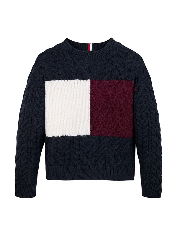 TOMMY HILFIGER TOMMY HILFIGER Pulover  temno modra / bordo / bela